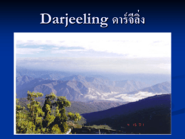Darjeeling ดาร์จีลิ่ง - สำนักวิทยบริการ มหาวิทยาลัยหาดใหญ่