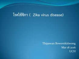 โรคไข้ซิกา ( Zika virus disease)