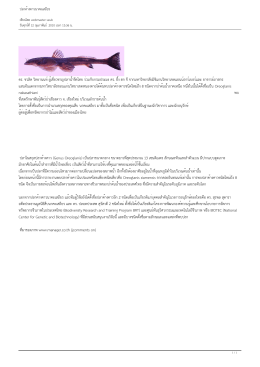 ดร. ชวลิต วิทยานนท์ผู้เชี่ยวชาญปลาน้ำจืดไทย ร