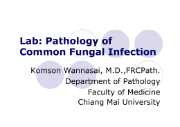 Lab: Pathology of Common Fungal Infection