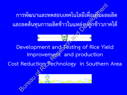 32 - สำนัก วิจัย และ พัฒนา ข้าว:Bureau of Rice Research and