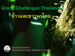 Grand Challenges Thailand: ข้าวและชาวนาไทย
