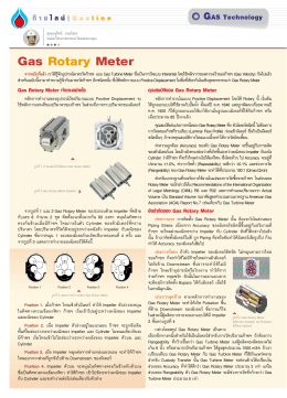 Gas Rotary Meter