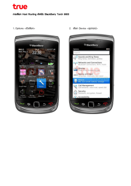 การเลือก Host Routing ส าหรับ BlackBerry Torch 9800 1.Options ตัว