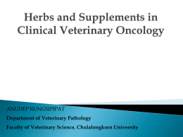 Herbs and Supplements in Clinical Veterinary Oncology