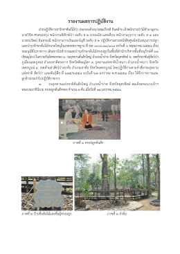 รายงานการสำรวจต้นไม้ทรงปลูก สำนักบริหารพื้นที่อนุรักษ์ที่ 11(พิษณุโลก)