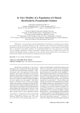 In Vitro Motility of a Population of Clinical Burkholderia