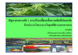 ปัญหาคนสวนผัก : การปรับเปลียนเพือการผลิตทีปล - Thai-PAN