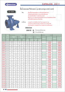 ปั๊มน้ำเพลาลอย ไฮโดรสตาร์รุ่น มาตรฐาน 24255 HD DIN