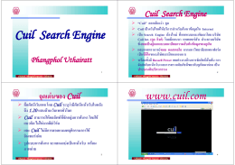Cuil Search Engine