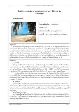 หาด นพรัตน์ ธารา - CMGF Secretariat Thailand