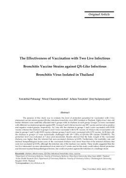Part 3: Pathogenesis of infectious bronchitis virus isolated