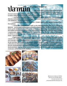 ปลาหมึกต้มหวาน : สูตรชาวเมืองเพชรบุรี