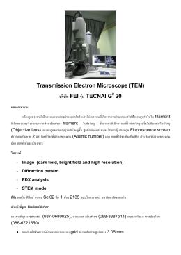 Transmission Electron Microscope (TEM) ªƒ` “∏ FEI ƒŸå∫ TECNAI