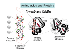 Proteins Powerpoint2552