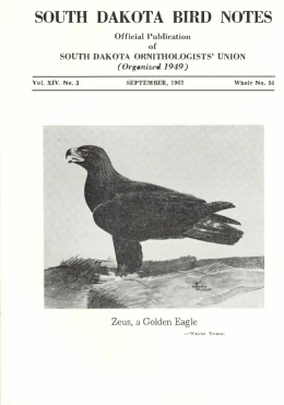 SOUTH DAl{OTA BffiD NOTES - South Dakota Ornithologists` Union