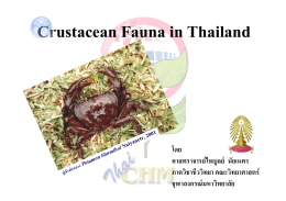 Crustacean Fauna in Thailand