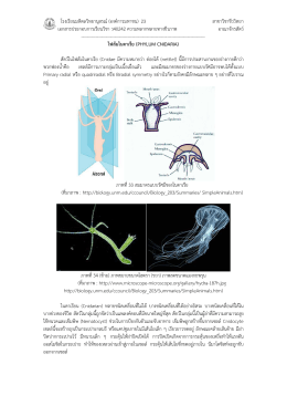 ไฟลัมไนดาเรีย (phylum cnidaria) - สาขา วิชา ชีววิทยา