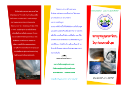 Brochure Tropical Cyclone 2014