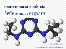 ผลกระทบของสารเคมีกาจัด วัชพืช Atrazine ต่อสุขภาพ - Thai-PAN