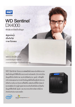 WD Sentinel™ DX4000 Small Office Storage Server