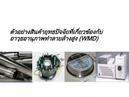 8 Examples of WMD-Related Strategic Commidities (Thai)