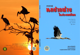 สาระความรู้ นกปากห่างในประเทศไทย - กรมอุทยานแห่งชาติ สัตว์ป่า และ