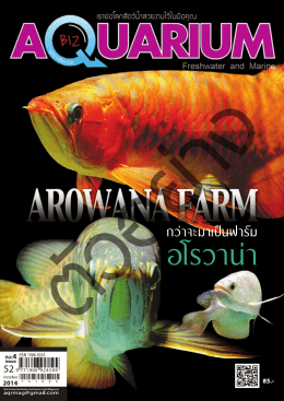 นิตยสาร Aquarium Biz Vol.4 Issue 52