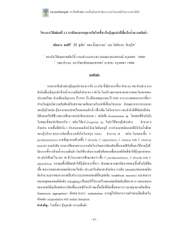 PDF File - อุตสาหกรรมกุ้งไทย