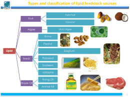 Types and classification of lipid feedstock sources