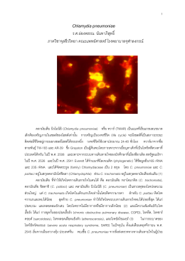 Chlamydia pneumoniae - สมาคมโรคติดเชื้อแห่งประเทศไทย