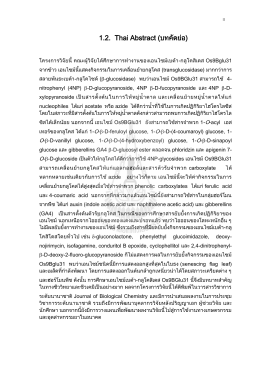 1.2. Thai Abstract (บทคัดย่อ)
