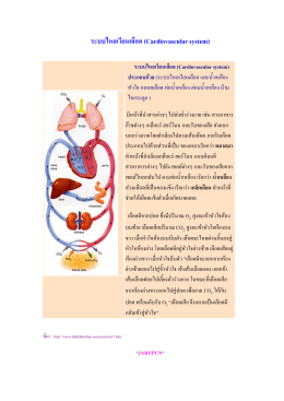 ระบบไหลเวียนเลือด (Cardiovascular system)