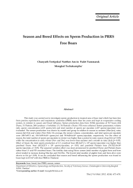Season and Breed Effects on Sperm Production in PRRS Free Boars
