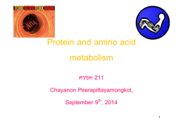 Protein and amino acid metabolism