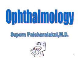 Eye (Ophthalmology)
