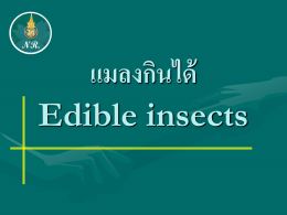 แมลงกินได้ Edible insects - คณะทรัพยากรธรรมชาติ