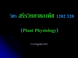 สรีรวิทยาของพืช 1202 320 Plant Physiology, 13 กรกฎาคม 2552
