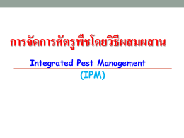 การจัดการศัตรูพืชโดยวิธีผสมผสาน Integrated Pest Management