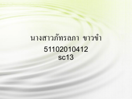 นางสาวภัทรลภา ขาวขำ 51102010412 sc13