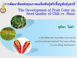 พริก - การประชุมวิชาการเมล็ดพันธุ์พืชแห่งชาติ ครั้งที่ 8