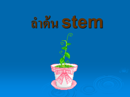 ลำต้น stem