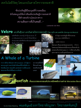 Biomimicry - มหาวิทยาลัยบูรพา วิทยาเขตจันทบุรี