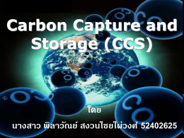 Carbon Capture and Storage (CCS)