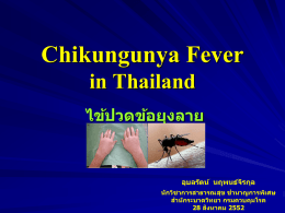 Chikungunya (โรคไข้ปวดข้อยุงลาย)