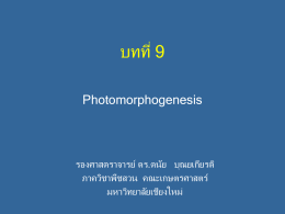 Photomorphogenesis - AGRI-MIS