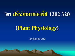 วิชา สรีรวิทยาของพืช 1202 320 (Plant Physiology)