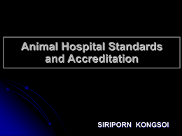 Animal Hotpital Standards Accreditation