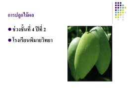 สถานการณ์ปัจจุบันของอุดมศึกษาไทย