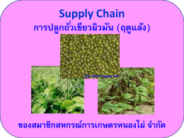 Supply Chain การปลูกถั่วเขียวผิวมัน (ฤดูแล้ง)
